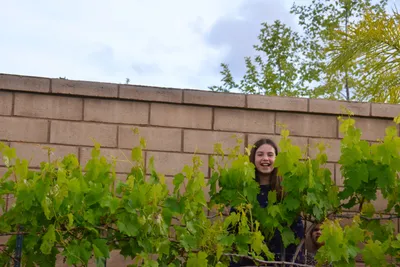 DSC_7421 (Large).JPG